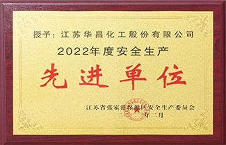 公司荣获“安全生产先进单位”荣誉称号