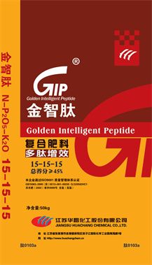 金智肽